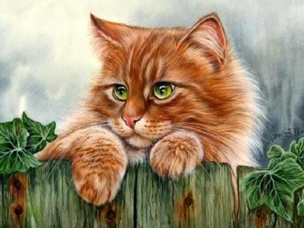 Tử vi tuổi Mão tuần 26/5 - 1/6